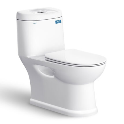 Bồn cầu 1 khối VIGLACERA C109 nắp êm