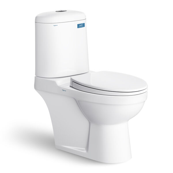 Bồn cầu 2 khối VIGLACERA VI107 nắp êm V116