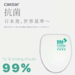 Bồn cầu thông minh CAESAR CA1380H nắp rửa điện tử - Ảnh 17