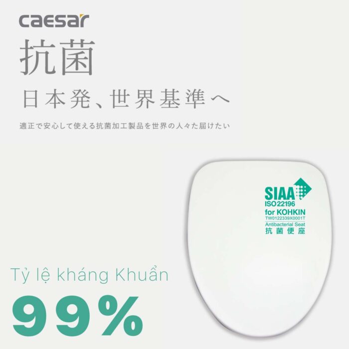 Bồn cầu thông minh CAESAR CA1380H nắp rửa điện tử - Ảnh 17