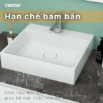 Chậu lavabo đặt bàn CAESAR LF5253 - Ảnh 13