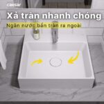 Chậu lavabo đặt bàn CAESAR LF5253 - Ảnh 11
