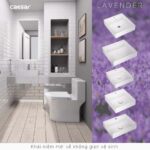 Chậu lavabo đặt bàn CAESAR LF5253 - Ảnh 8