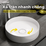 Chậu lavabo đặt bàn CAESAR LF5258 - Ảnh 12