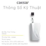Bồn tiểu nam CAESAR U0232 treo tường - Ảnh 4