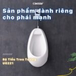 Bồn tiểu nam CAESAR U0221 treo tường - Ảnh 4