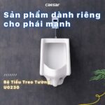 Bồn tiểu nam CAESAR U0230 treo tường - Ảnh 4