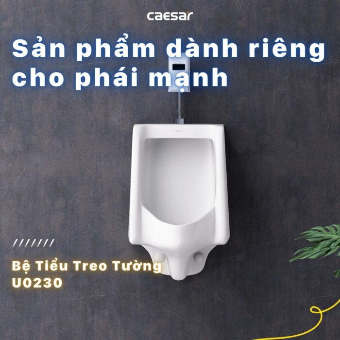 Bồn tiểu nam CAESAR U0230 treo tường - Ảnh 4