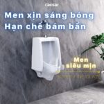 Bồn tiểu nam CAESAR U0230 treo tường - Ảnh 8