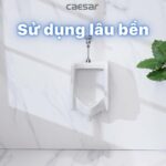 Bồn tiểu nam CAESAR U0230 treo tường - Ảnh 9