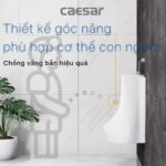 Bồn tiểu nam CAESAR U0232 treo tường - Ảnh 7