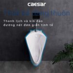 Bồn tiểu nam CAESAR U0232 treo tường - Ảnh 10