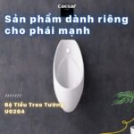 Bồn tiểu nam CAESAR U0264 treo tường - Ảnh 5