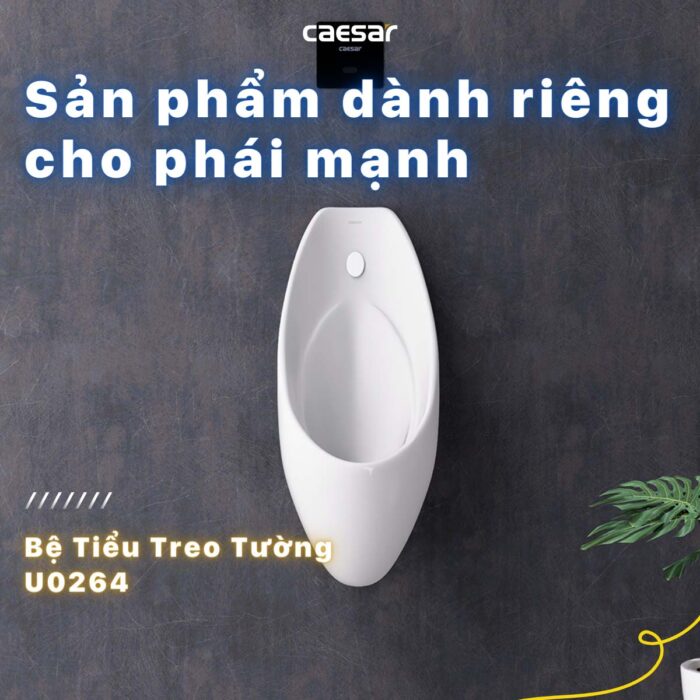 Bồn tiểu nam CAESAR U0264 treo tường - Ảnh 5