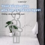 Bồn tiểu nam CAESAR U0264 treo tường - Ảnh 6