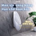 Bồn tiểu nam CAESAR U0264 treo tường - Ảnh 7