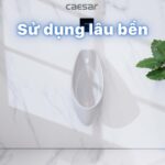 Bồn tiểu nam CAESAR U0264 treo tường - Ảnh 8