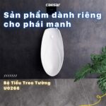 Bồn tiểu nam CAESAR U0266 treo tường - Ảnh 4