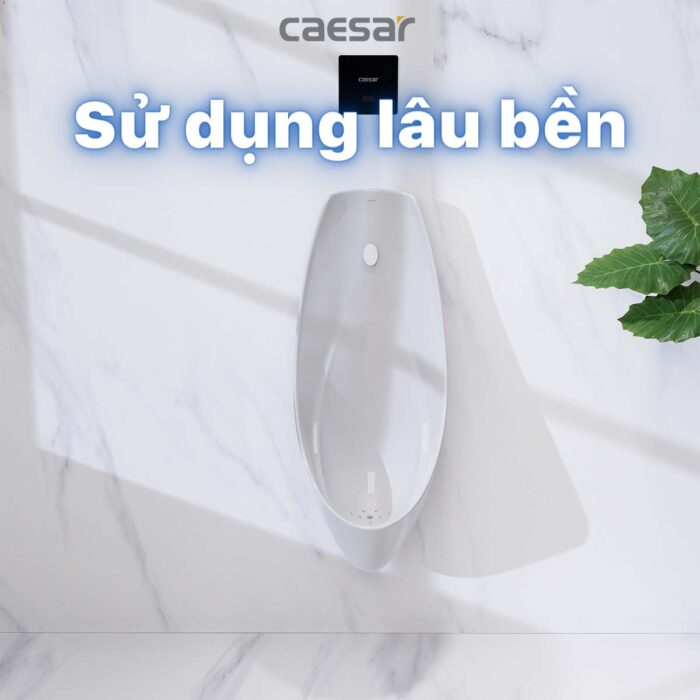 Bồn tiểu nam CAESAR U0266 treo tường - Ảnh 7