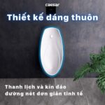 Bồn tiểu nam CAESAR U0266 treo tường - Ảnh 9