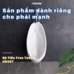 Bồn tiểu nam CAESAR U0267 treo tường - Ảnh 5