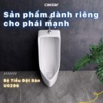 Bồn tiểu nam CAESAR U0296 đặt sàn - Ảnh 4