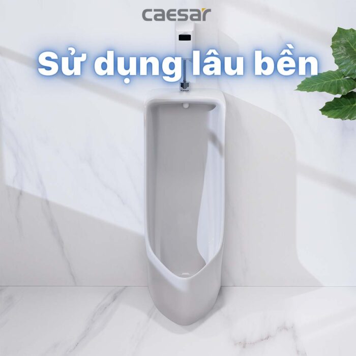 Bồn tiểu nam CAESAR U0296 đặt sàn - Ảnh 9