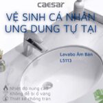 Chậu lavabo âm bàn CAESAR L5113 - Ảnh 4