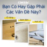 Chậu lavabo âm bàn CAESAR L5113 - Ảnh 6