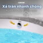 Chậu lavabo âm bàn CAESAR L5115 - Ảnh 9
