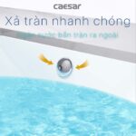 Chậu lavabo âm bàn CAESAR L5125 - Ảnh 9