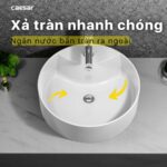 Chậu lavabo đặt bàn CAESAR LF5240 - Ảnh 13