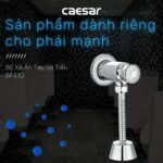 Van xả tiểu CAESAR BF410 nhấn - Ảnh 3