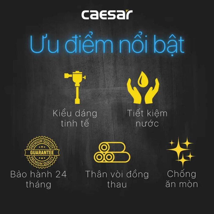 Van xả tiểu CAESAR BF410 nhấn - Ảnh 8