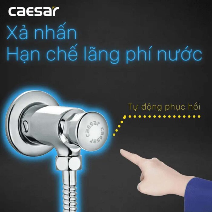 Van xả tiểu CAESAR BF410 nhấn - Ảnh 6