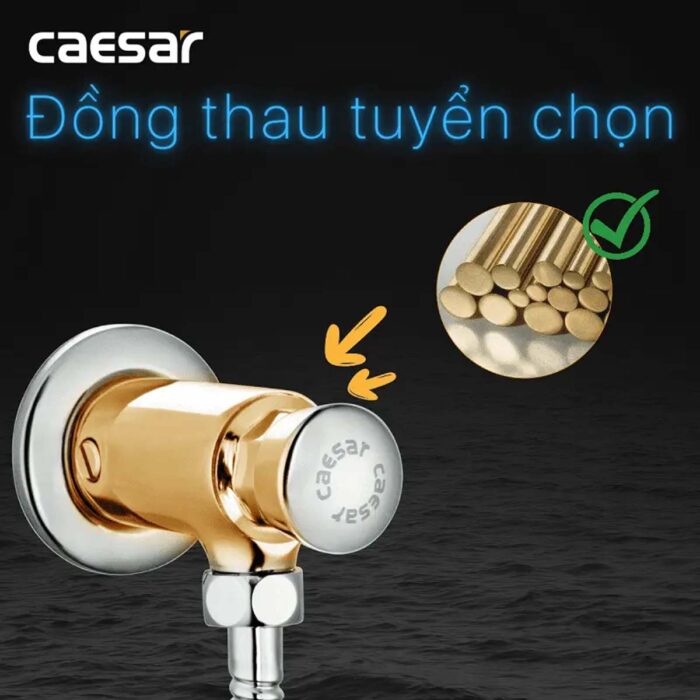 Van xả tiểu CAESAR BF410 nhấn - Ảnh 4