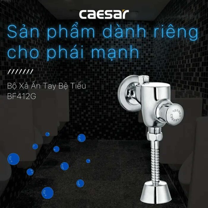 Van xả tiểu CAESAR BF412G nhấn - Ảnh 3