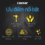 Van xả tiểu CAESAR BF412G nhấn - Ảnh 8