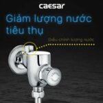 Van xả tiểu CAESAR BF412G nhấn - Ảnh 7