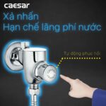 Van xả tiểu CAESAR BF412G nhấn - Ảnh 6