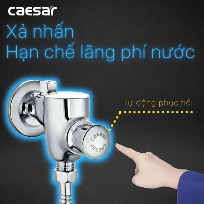 Van xả tiểu CAESAR BF412G nhấn - Ảnh 6