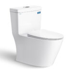 Bồn cầu 1 khối VIGLACERA V62 nắp êm (1)