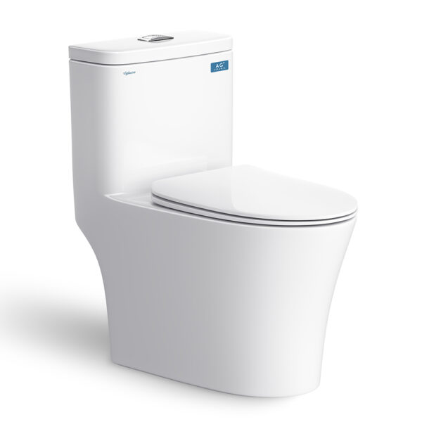 Bồn cầu 1 khối VIGLACERA V63 nắp êm (2)