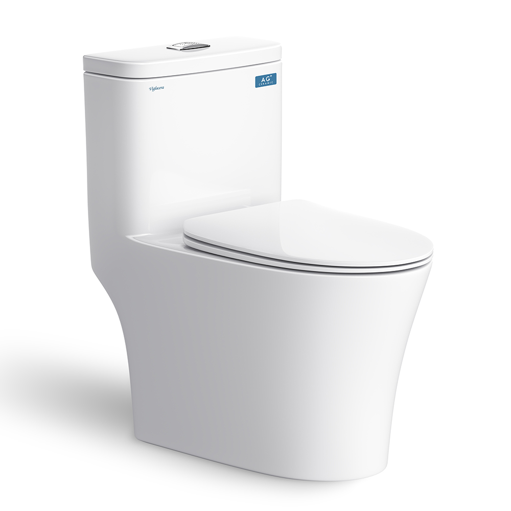 Bon cau 1 khoi VIGLACERA V63 nap em 1