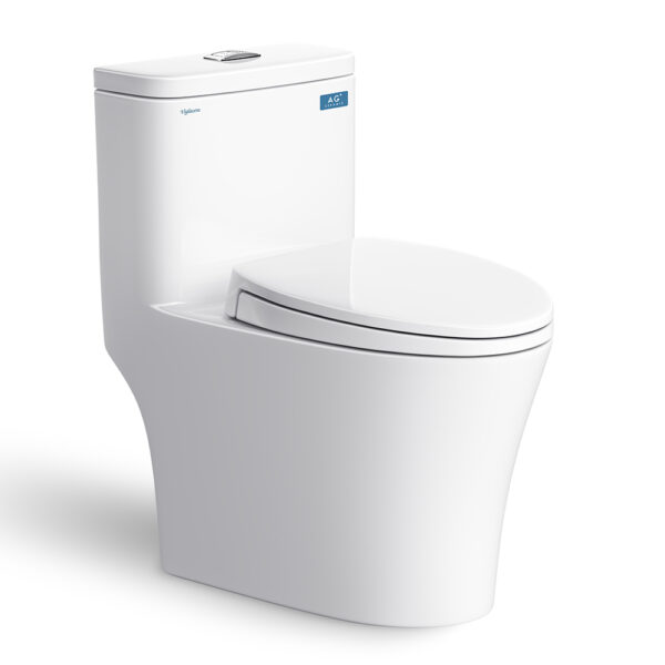 Bồn cầu 1 khối VIGLACERA V63 nắp êm (2)