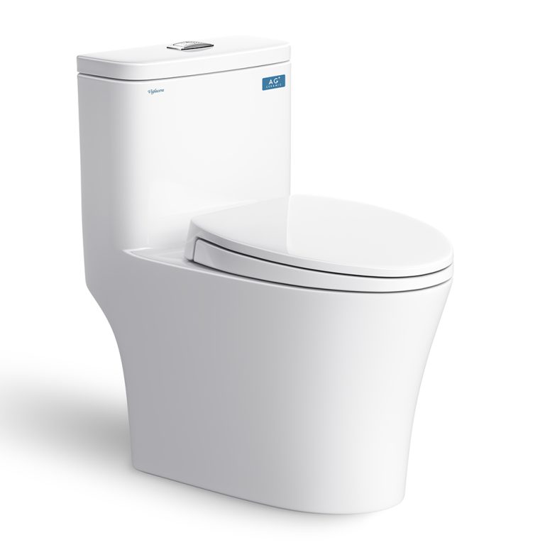 Bồn cầu 1 khối VIGLACERA V63 nắp êm (2)