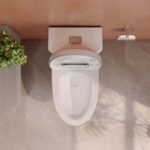 Bồn cầu 1 khối VIGLACERA V72 nắp êm - Ảnh 5