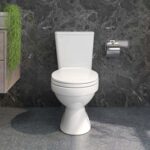 Bồn cầu 2 khối VIGLACERA VT34 nắp êm - Ảnh 4