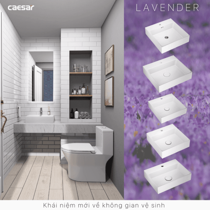Chậu lavabo đặt bàn CAESAR LF5259 - Ảnh 19