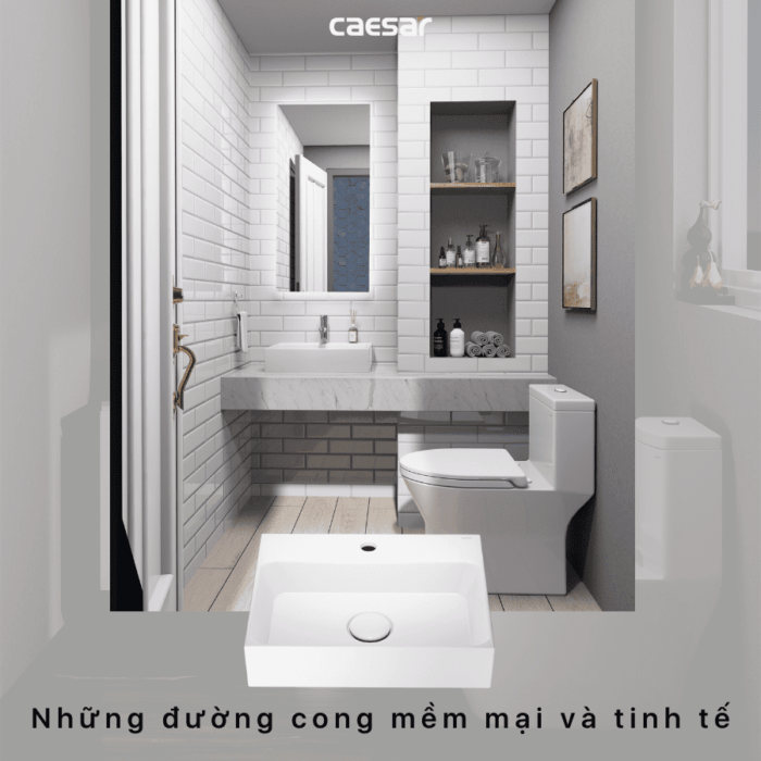 Chậu lavabo đặt bàn CAESAR LF5259 - Ảnh 11